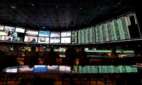 discover valuable lessons from celebrity sports bettors and learn winning strategies to improve your own betting skills.