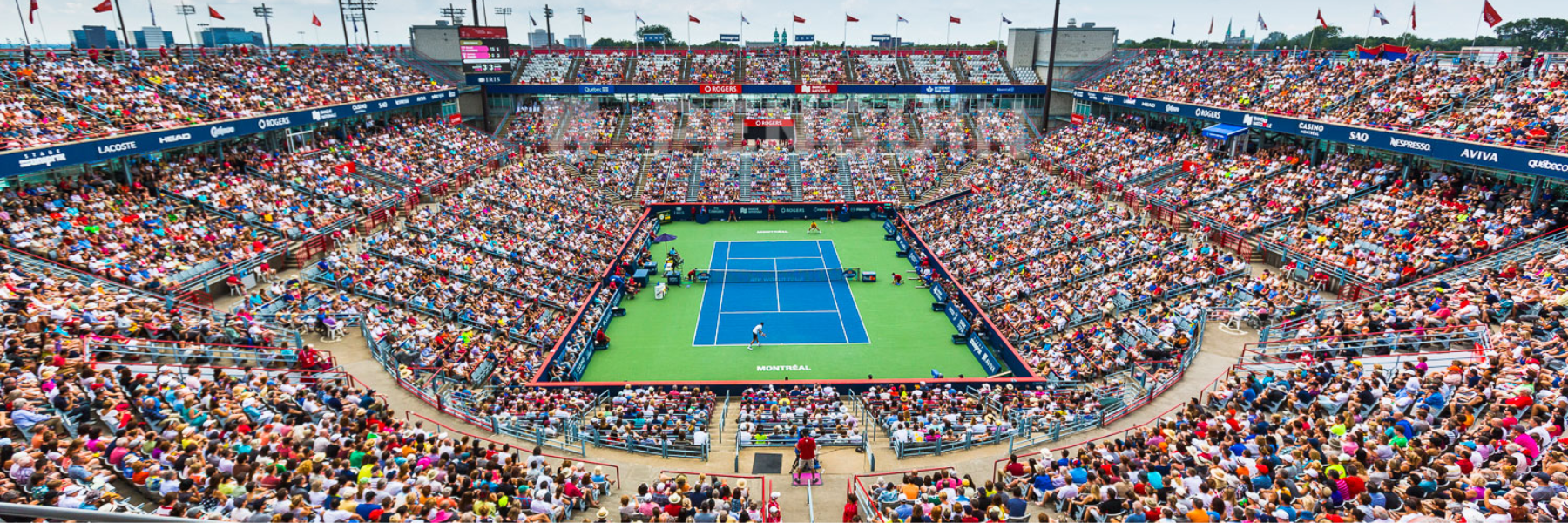 discover expert strategies and insights for niche tennis betting to maximize your profits and gain an edge in the market.